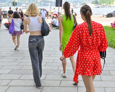 Consiglieri pro-movida del Pdl pronti alla crisi