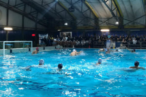 Como Nuoto, una “prima” amara. Brescia ha conquistato il derby
