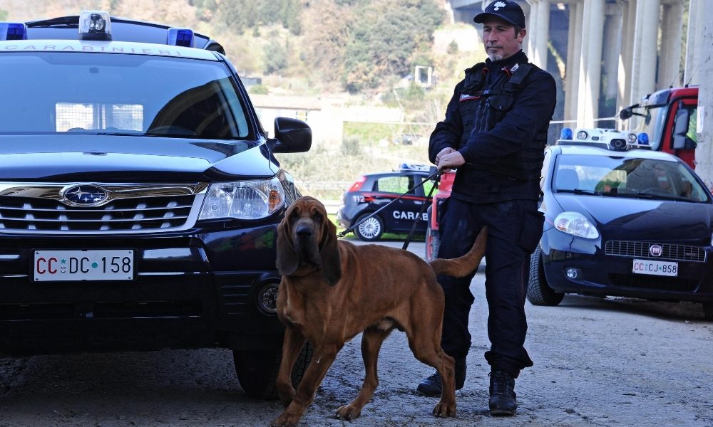 Donna scomparsa: si cerca in un terreno