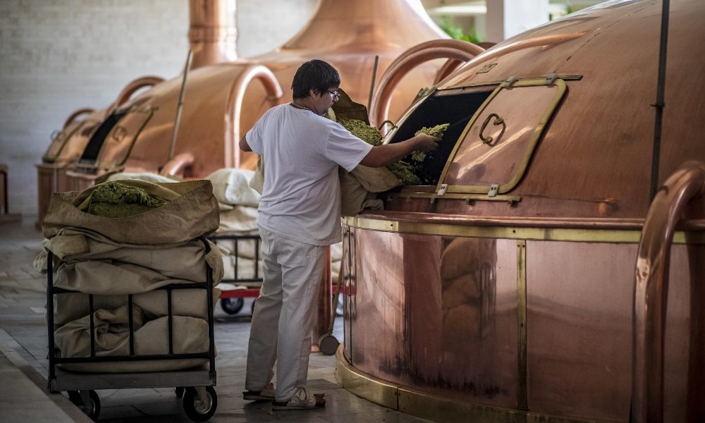 Dpcm: Assobirra, sostegno a settore su accise e aiuti