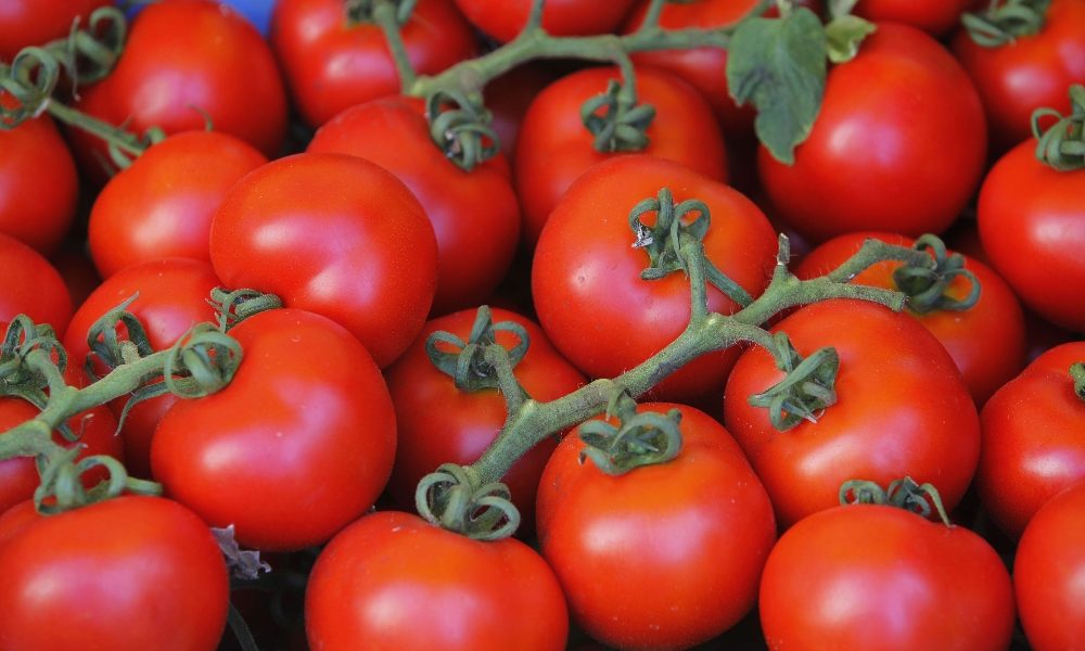 E-R, senza stagionali rischia raccolta