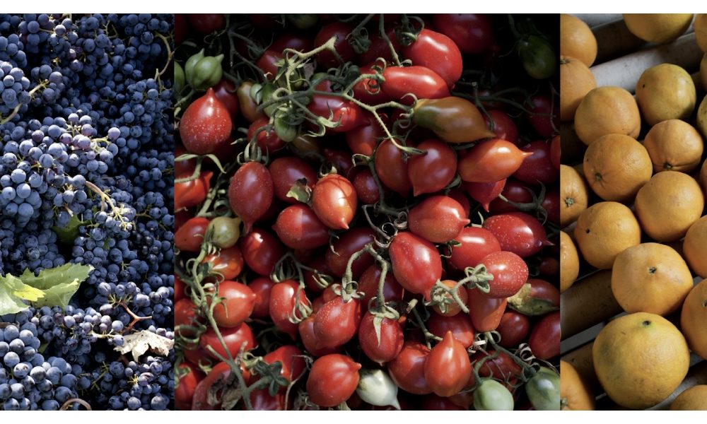 Expo Dubai: Riccaboni, più cooperazione per futuro agrifood