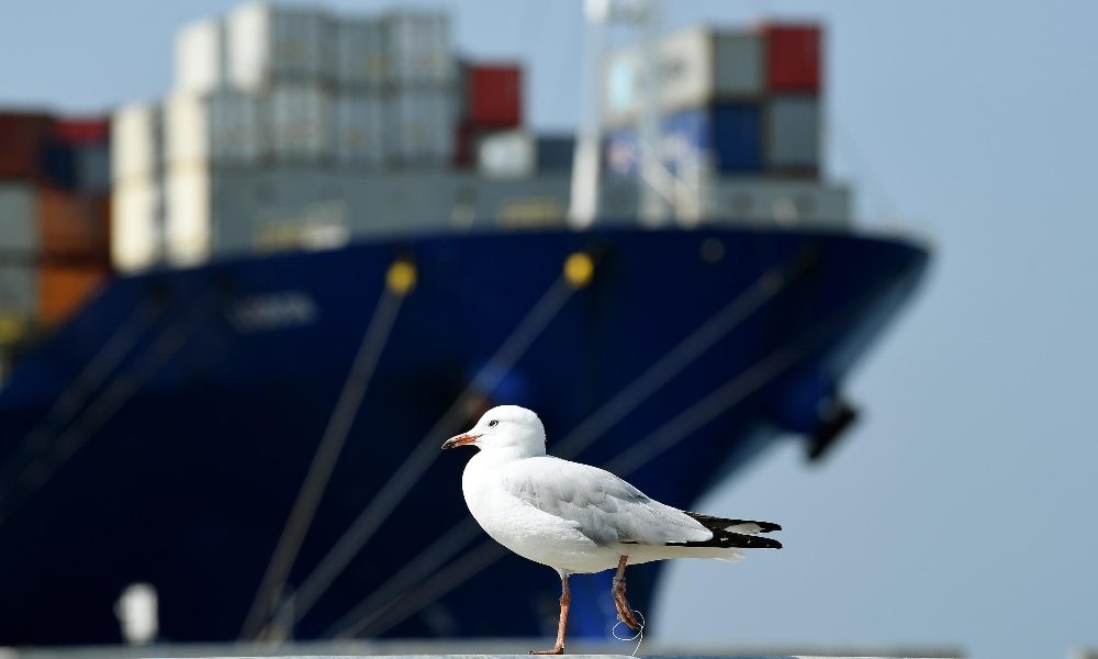 Export:corsa a ostacoli tra dazi e virus