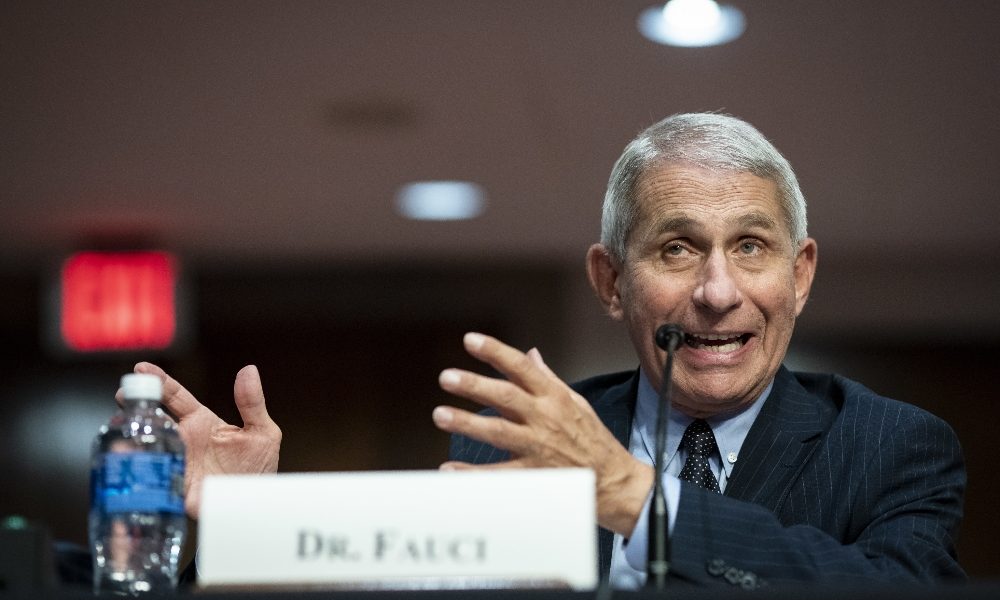 Fauci: Usa sono ancora in piena prima ondata