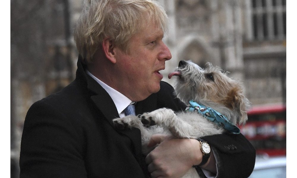 Gb, migliaia di foto di cani ai seggi
