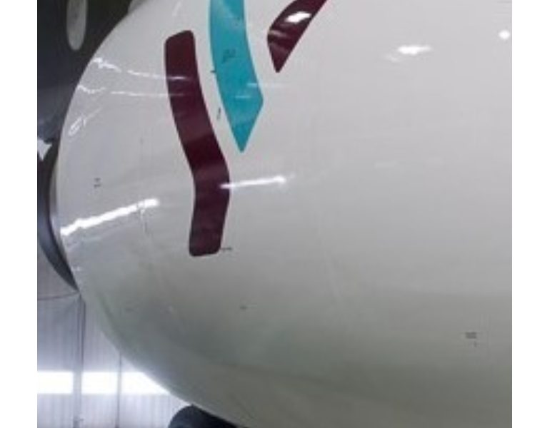 Guasto aereo Air Italy, “fumo e panico”