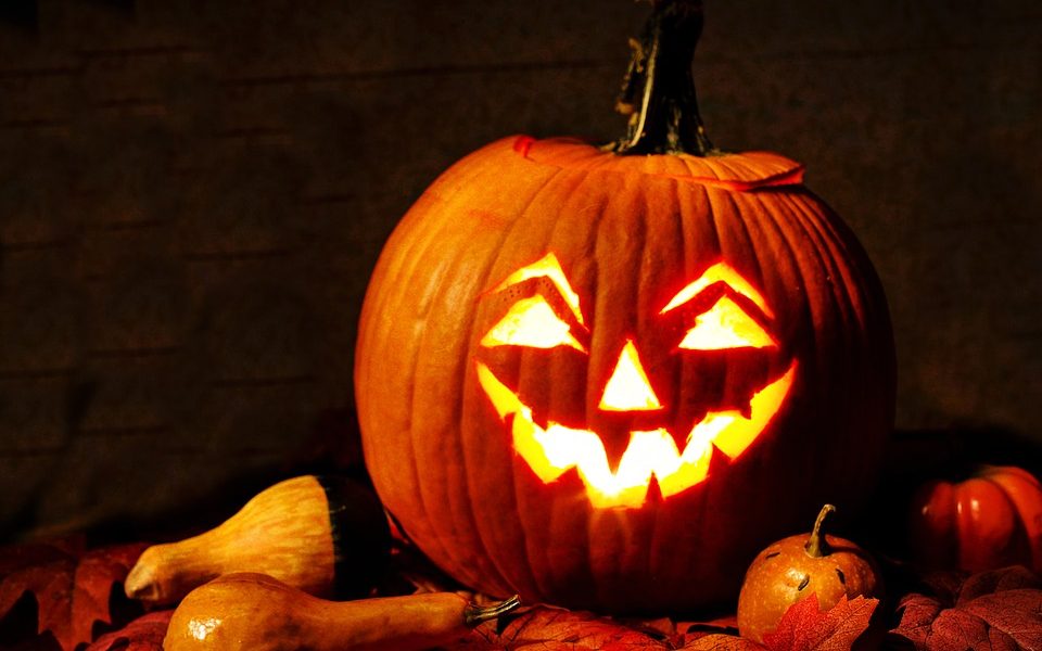 Halloween, boom delle zucche: sul Lario quasi un chilo a testa