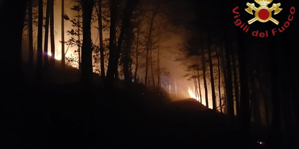 Incendio in Altolago: Canadair in volo anche oggi