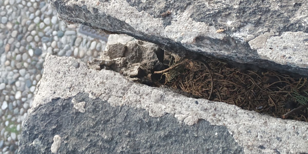 Degrado in zona Quarcino, “Uniti per Como” chiede interventi