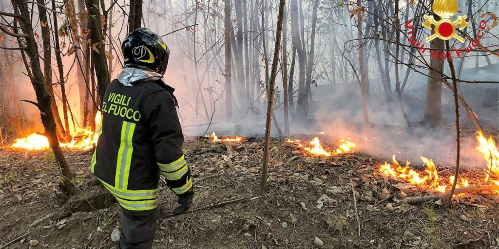 Incendi in tutta la provincia: superlavoro per i vigili del fuoco