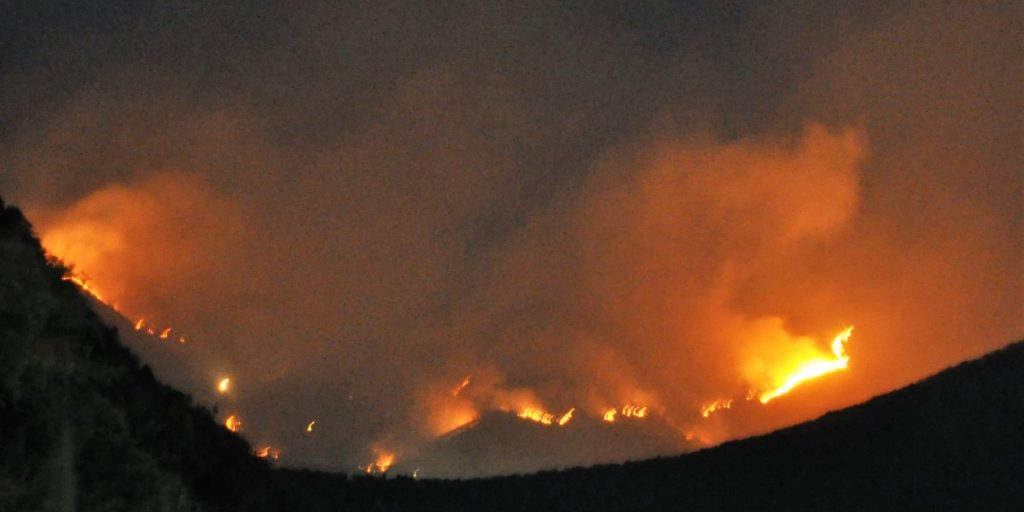 Più risorse per gli incendi boschivi. Orsenigo (Pd): «Ci sono 21 milioni da poter usare»