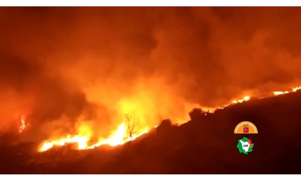 Incendio boschivo in Versilia