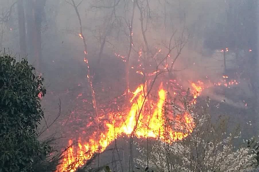 Incendio di Mariano Comense. In fiamme anche il bosco vicino alla discarica