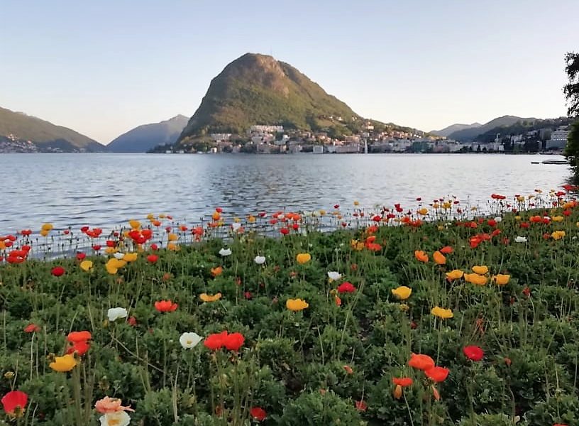 Festival in Ticino: grandi maestri  e giovani promesse