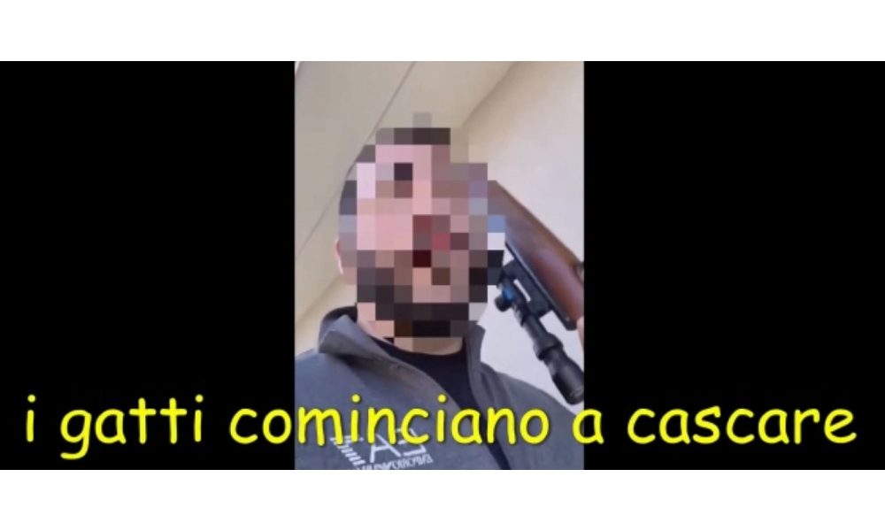 Mafia: gatto lo sveglia con miagolii, ucciso con fucile