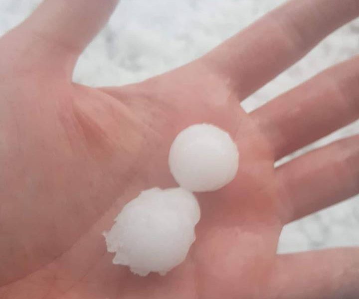 Clima bizzarro, Coldiretti fa il conto dei danni