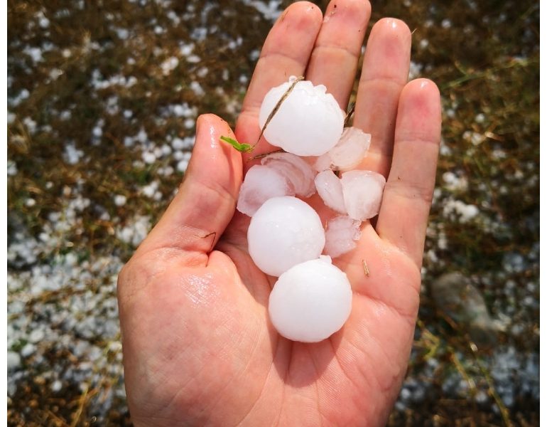 Maltempo: Coldiretti Puglia,grandine devasta oliveti-vigneti