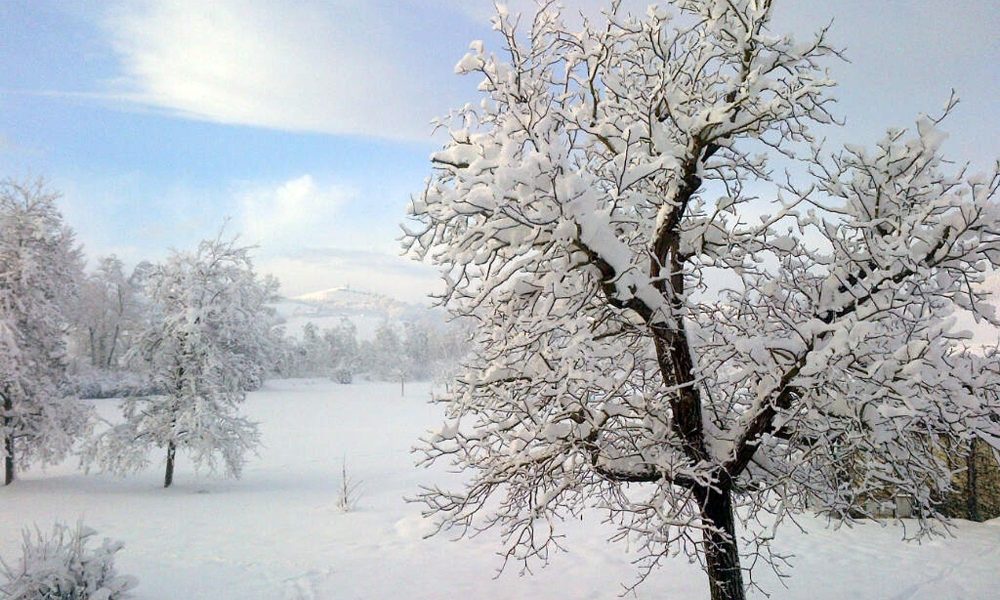 Maltempo: E-R, allerta gialla per forte freddo e mareggiate