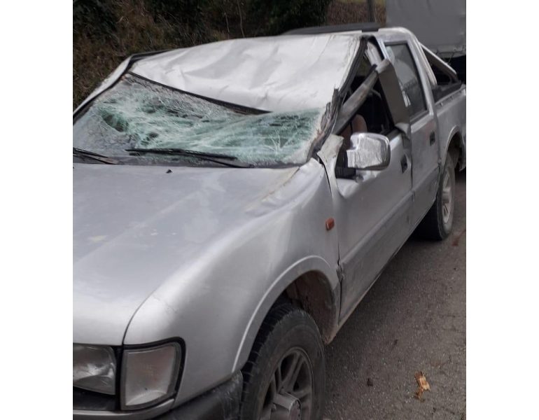 Maltempo: albero cade su auto, un ferito