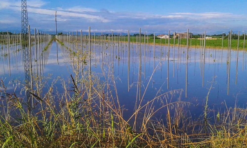 Maltempo: allerta rossa per vento su Appennino in E-R