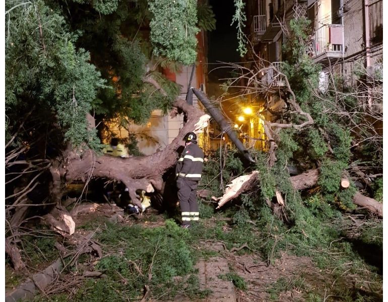 ++ Maltempo: cade albero in centro Napoli, giovane ferito ++
