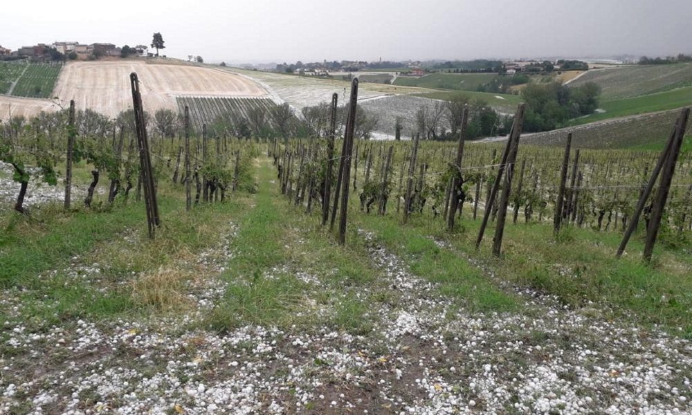 Maltempo: grandine in Oltrepò Pavese, danni ai vigneti