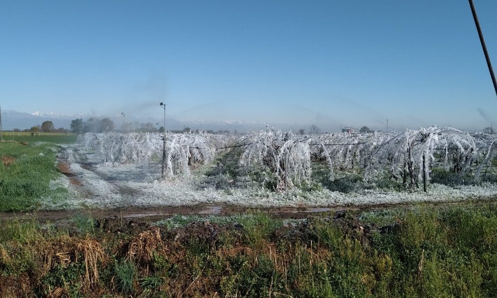 Maltempo: notte di gelo in Piemonte, -6 nel Monferrato