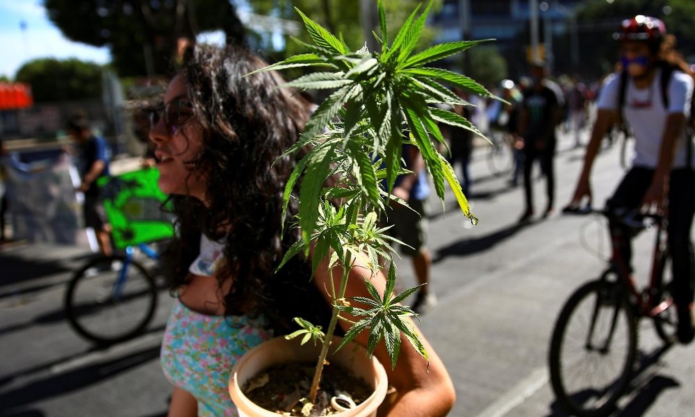 Messico: è legge legalizzazione della marijuana