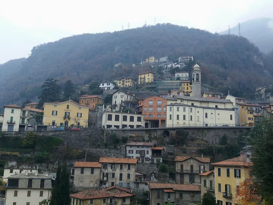 Moltrasio, tutta la flora in un volume