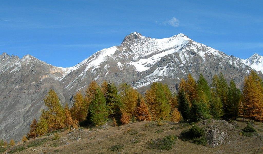 Alpinista comasco perde la vita in Valle d’Aosta sul Monte Grivola