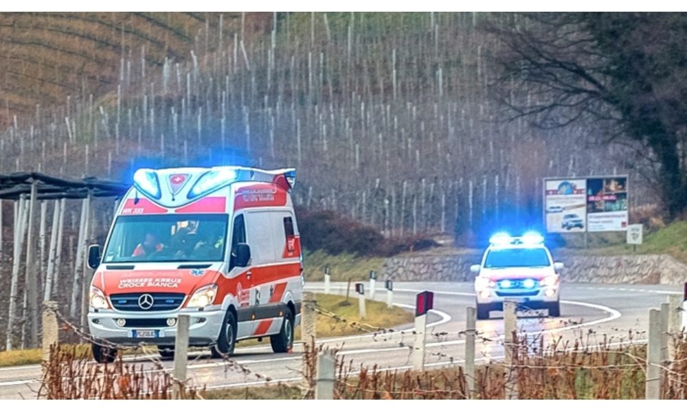Muore travolto da albero in Alto Adige