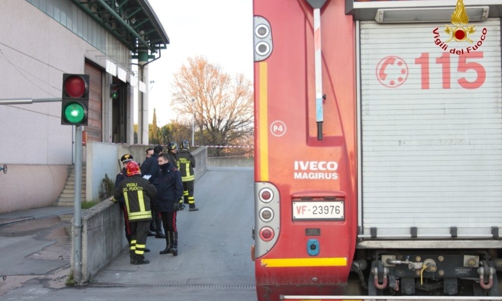 Muore travolto da albero in Mugello