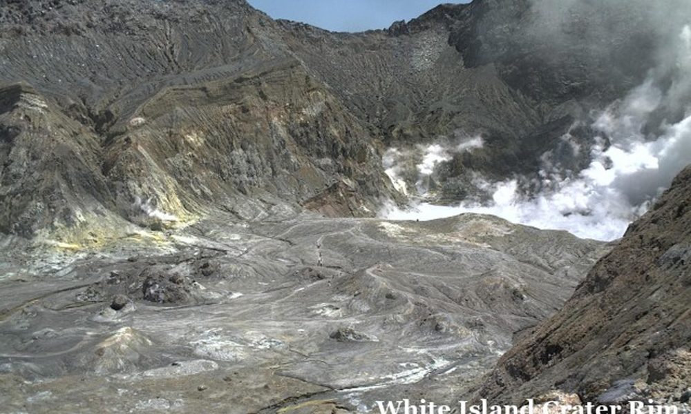 N.Zelanda: 5 morti per eruzione vulcano