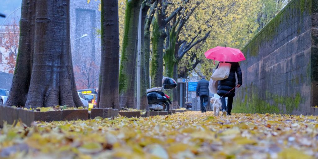 Como, al lavoro la “squadra foglie” per ripulire le strade e per liberare le vie