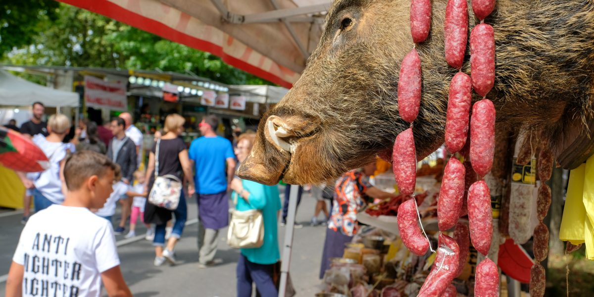 Coldiretti alla fiera di Alzate con il km zero e la fattoria didattica