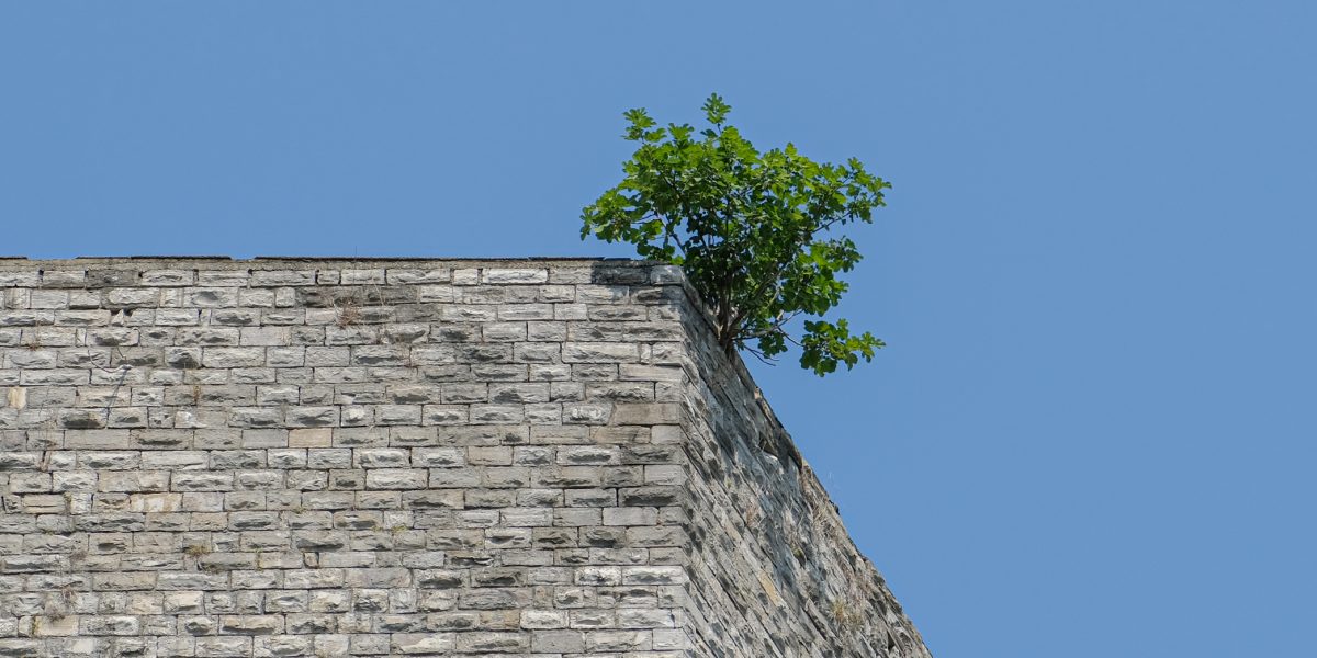 Mura di Como, giacimento da sfruttare