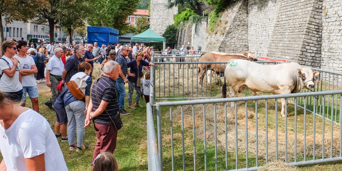 La Fiera di Sant’Abbondio si concentra in un solo giorno