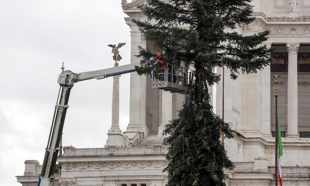 Natale: Spelacchio è a Roma