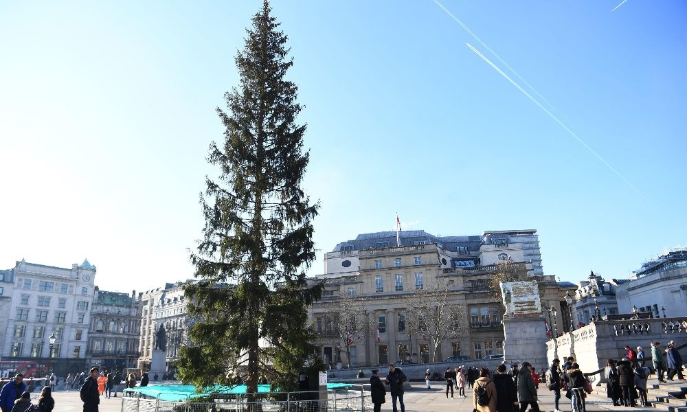 Natale: anche Londra ha uno ‘spelacchio’