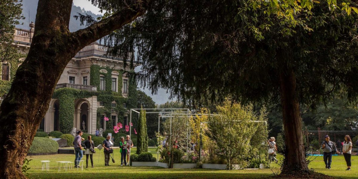 Cento rododendri per Villa Erba
