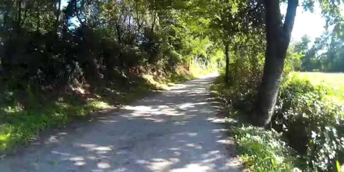 Itinerari nella natura all’interno del Parco del Lura