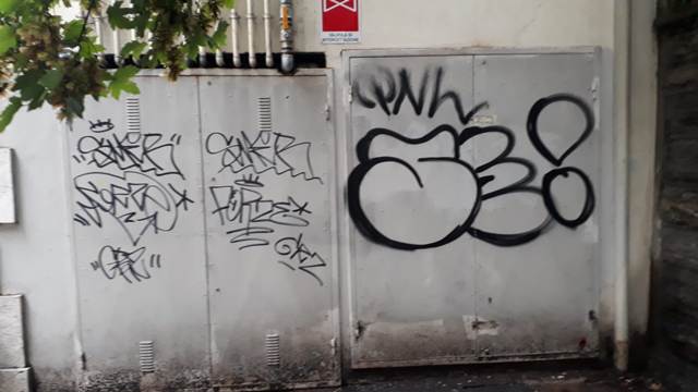 “Per Como pulita”, i volontari antidegrado: «Serve la polizia del decoro»