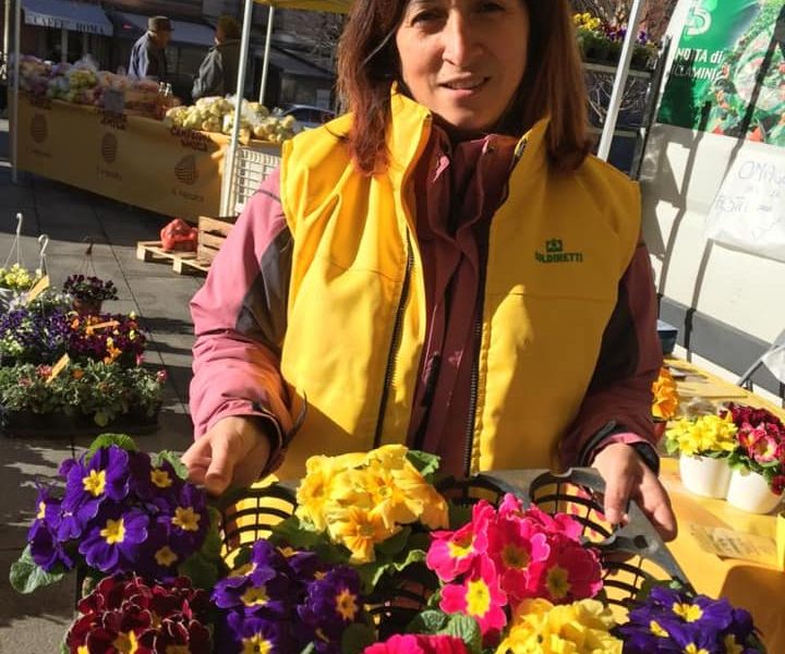 La Coldiretti anticipa con le primule la Festa della Donne