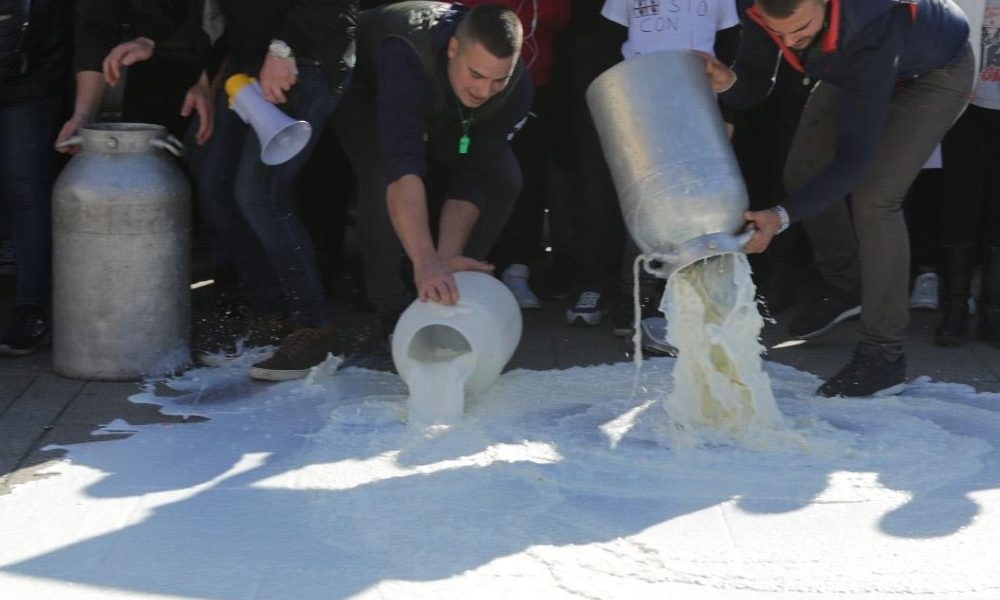 Proteste per il latte in Sardegna, 38 indagati a Oristano