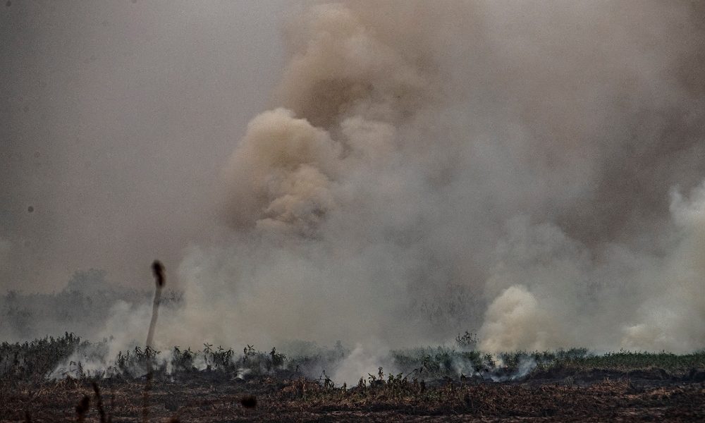 Record di incendi in Stato brasiliano di Amazonas