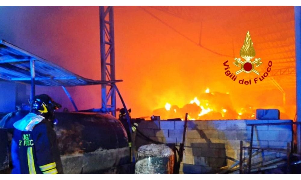 Rogo in azienda agricola Oristanese, morti alcuni animali