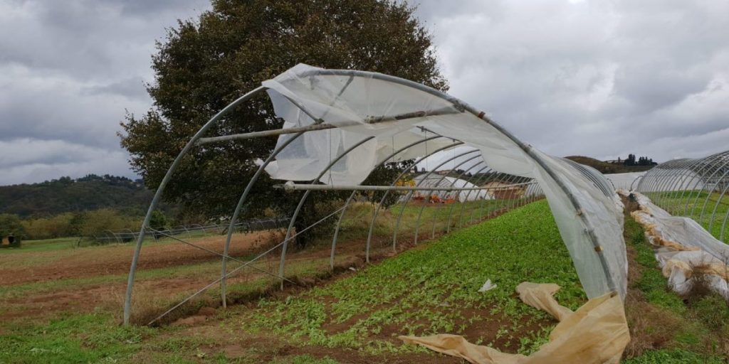 Maltempo, campi allagati, danni per serre e agricolture