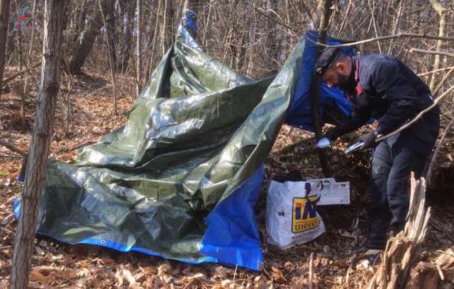 Mattinata di controlli anti-droga nei boschi del Parco Pineta
