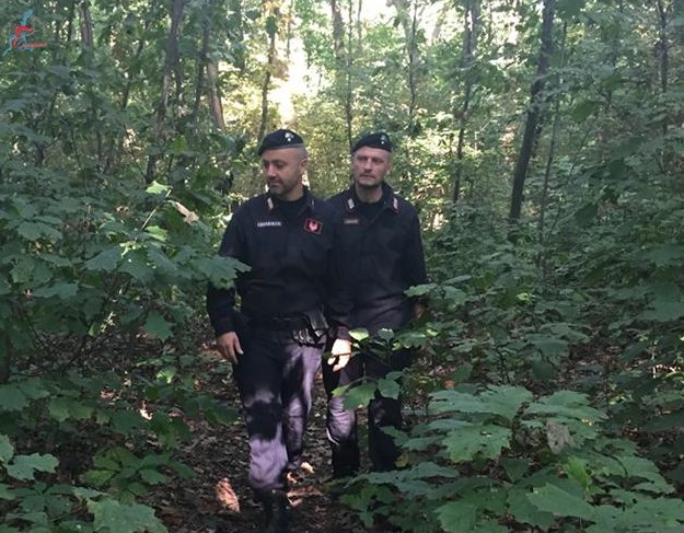 Boschi al setaccio: quattro fermi per droga e un capanno smantellato