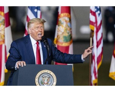 Maltrattò 104 cuccioli di cane: a processo negoziante di Merone